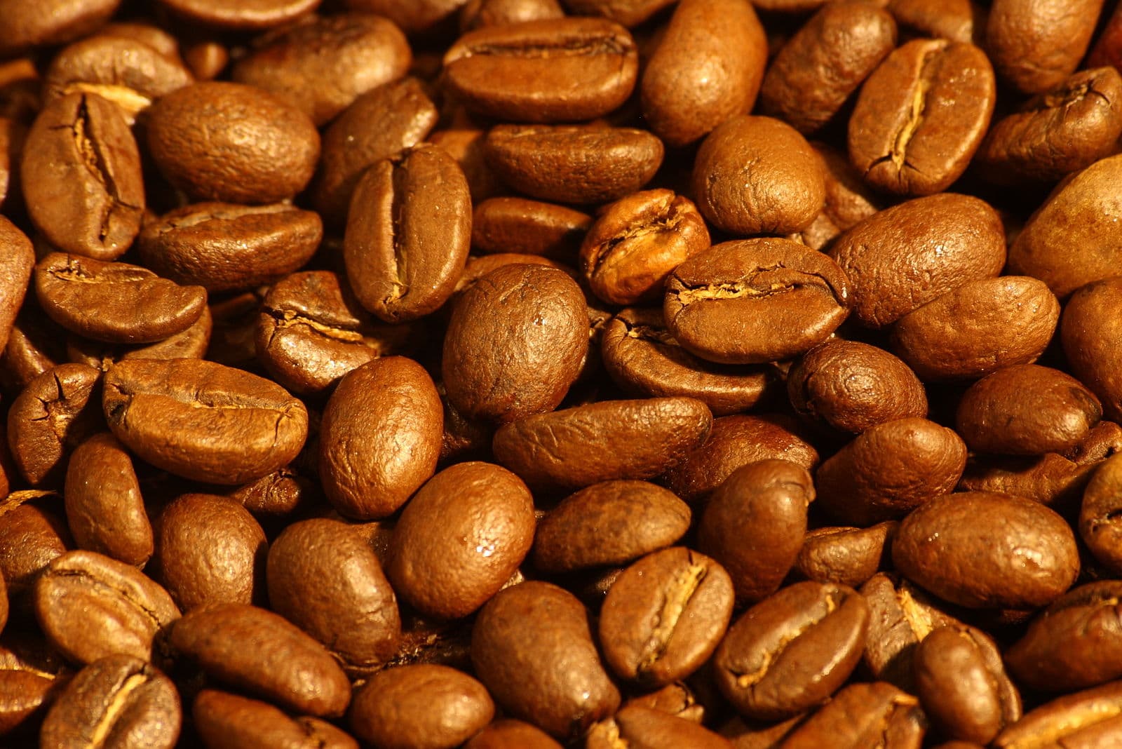 Café molido de tueste medio