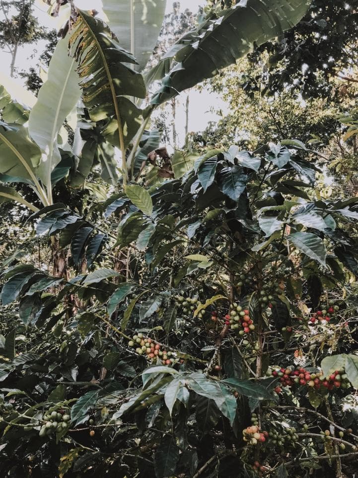 Foto comunidad/Instagram #4